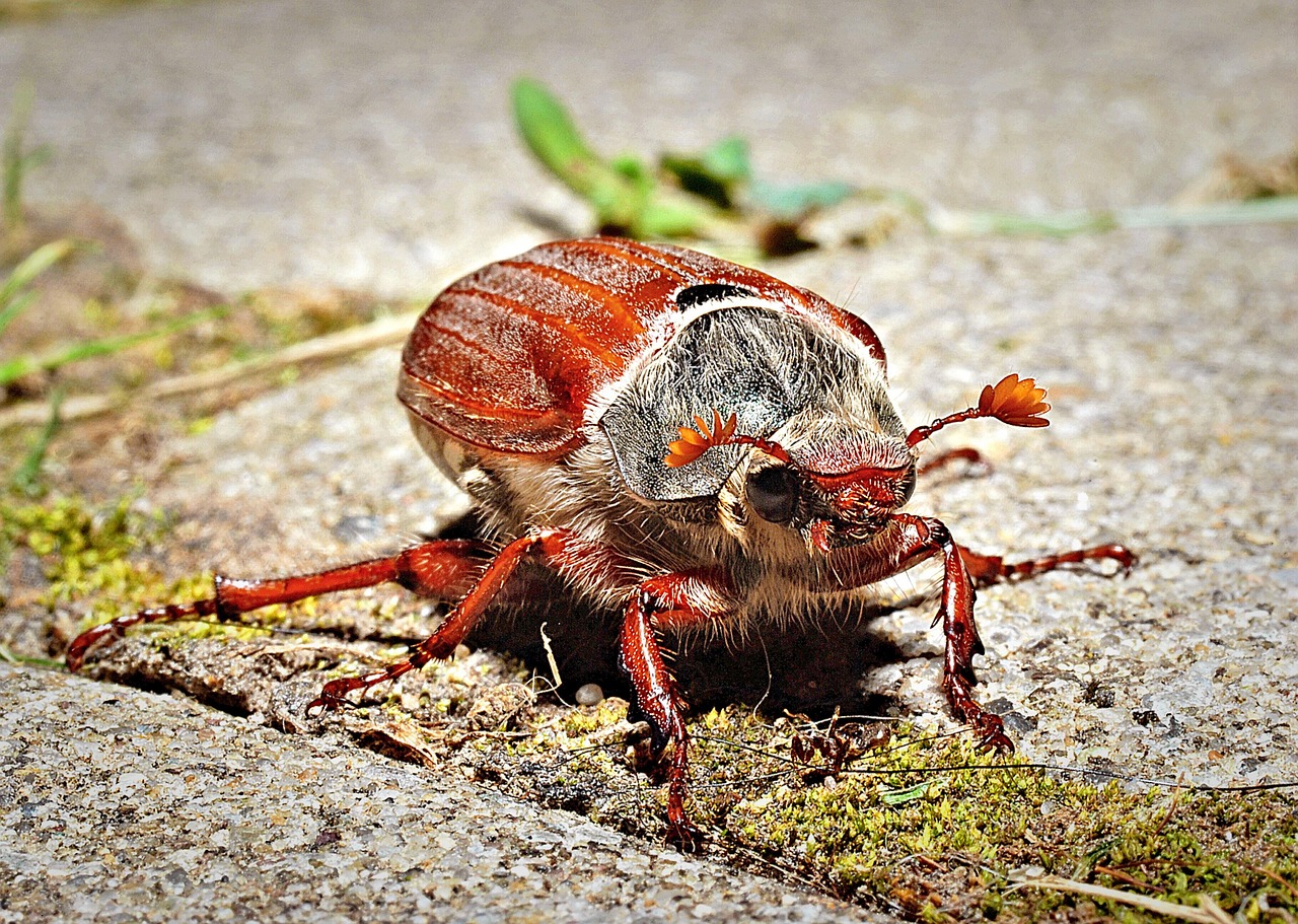ワキガのボトックス治療におけるデメリットとは？