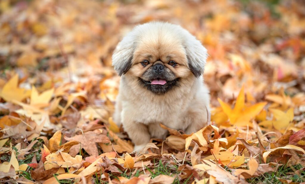 ワキガの悩みを解消する裏技とは？