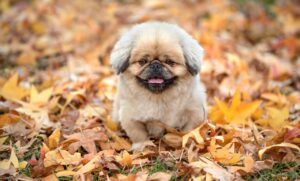 ワキガをバレないように対策する方法は？