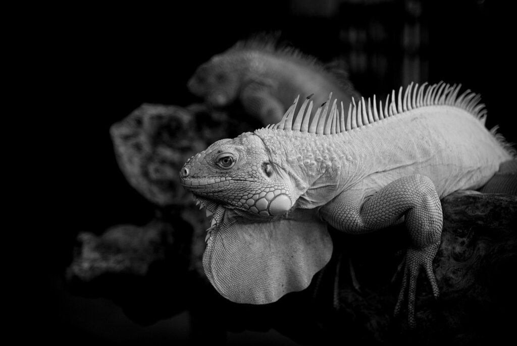 ワキガを会社でバレない方法は？