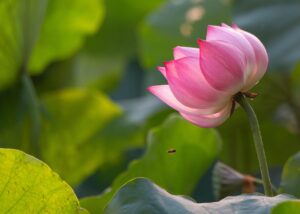 ワキガによるハラスメントの対処法は？