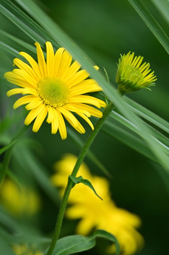 ワキガの悩みを解消するための手術相談はどこでするべき？