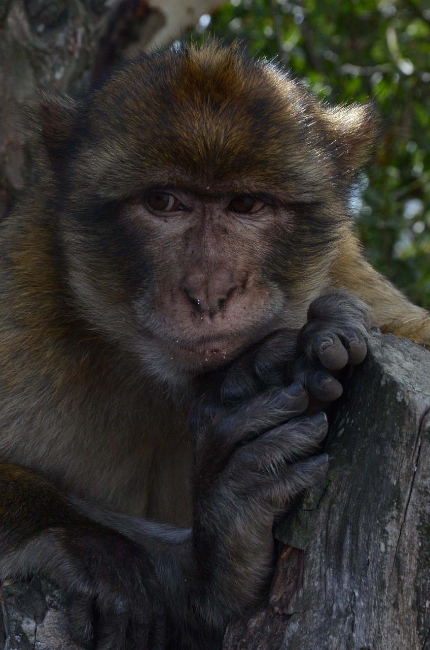 ワキガ対策に効果的な食べ物とは？