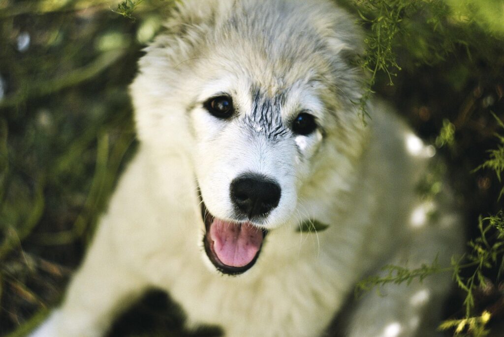 ワキガ脱毛がもたらす影響とは何か？