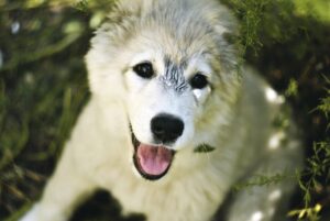 ワキガ脱毛がもたらす影響とは何か？