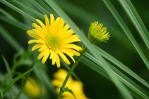 ワキガは直る可能性があるか、治療法や対策を徹底解説？