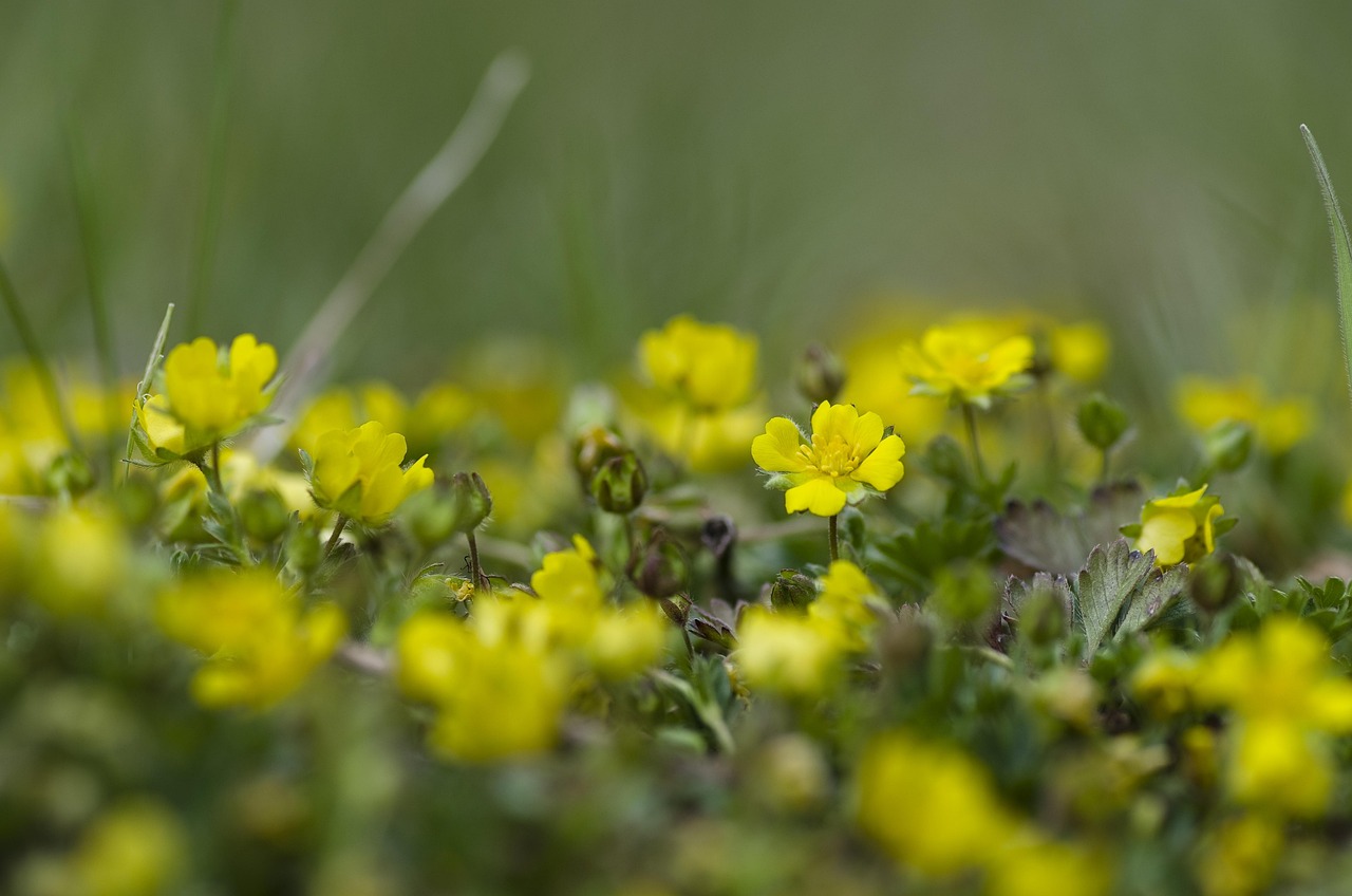 ワキガを放置すると悪化する原因とは？