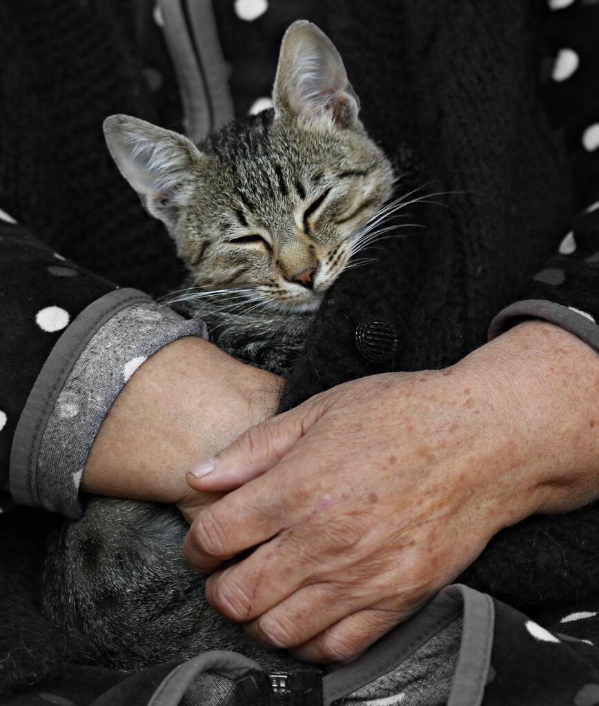 ワキガ手術の名医を選ぶ際のポイントは？