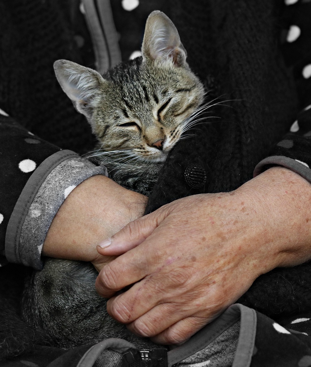 ワキガ手術の名医を選ぶ際のポイントは？