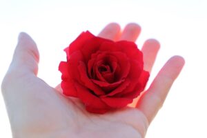 ワキガはなぜ直らないのか、その原因と対策は？