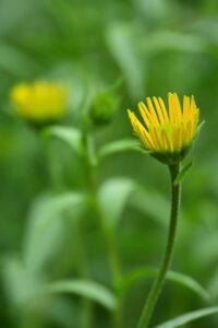 ワキガ対策に効果的な石鹸のおすすめと体験談は？