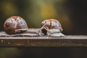 ワキガがばれない方法は本当にあるの？