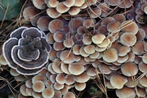 ワキガの悩み、どう対処すれば効果的？