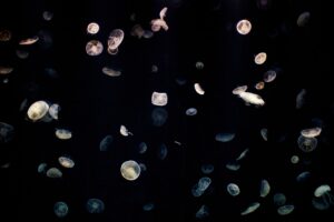 ワキガの治療は大阪のどの病院がいい？