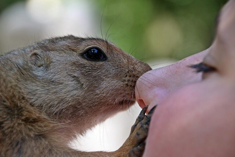 ワキガにヨーグルトは本当に効果があるの？